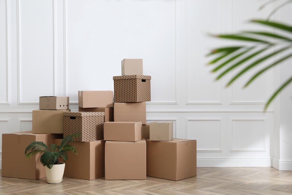 Heap of cardboard boxes and houseplant